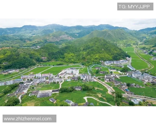 姚明林携手华能共创绿色未来推动可持续发展新篇章